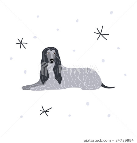Dog breed Afghan Hound. Vector illustration of a vintage pet 84759994