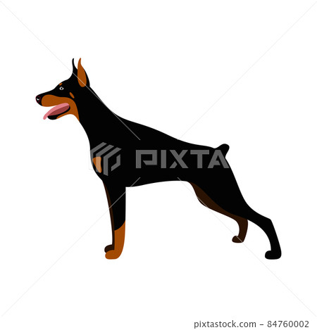 can a doberman pinscher live in brunei