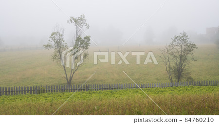 Misty morning in the countryside 84760210