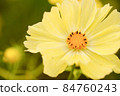Cosmos 84760243