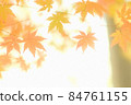 Autumn leaves 84761155