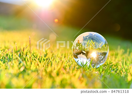 Ecology image Ecology image 84761318