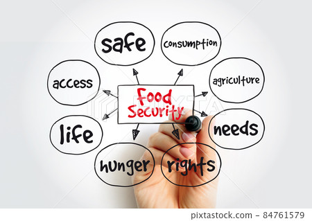 Food Security mind map with marker, concept for presentations and reports Food Security mind map with marker, concept for presentations and reports 84761579