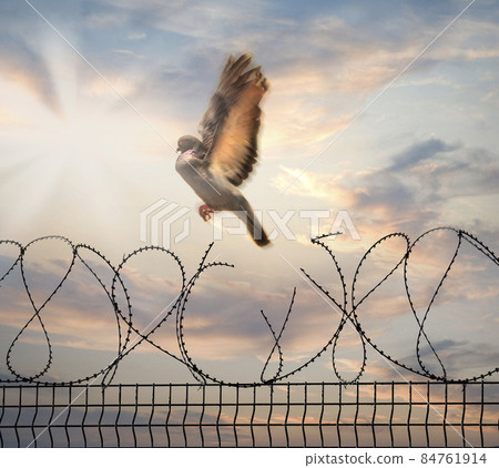 The concept of the International Day of Migrants: 84761914