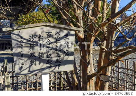 Naritasan Shinshoji Temple Shakado Hand-planted sal tree 84763697