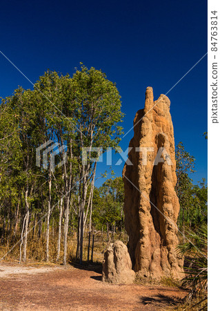 澳大利亞利奇菲爾德國家公園的大教堂白蟻丘 澳大利亞利奇菲爾德國家公園的大教堂白蟻丘 84763814