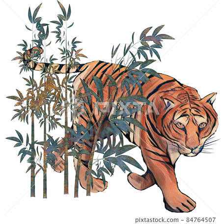 Handwritten tiger line drawing - Stock Illustration [84764506] - PIXTA