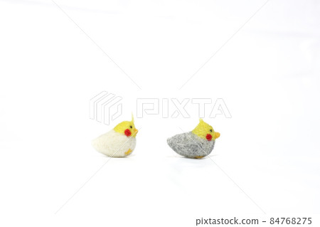可愛的人氣寵物【玄鳳鸚鵡】 84768275