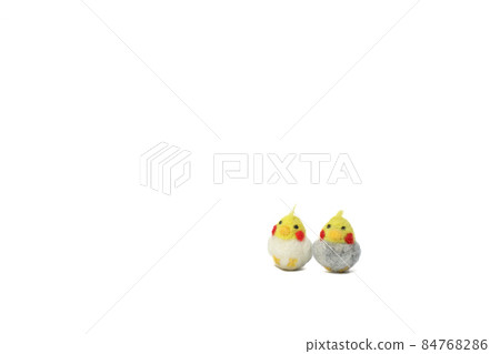 可愛的人氣寵物【玄鳳鸚鵡】 84768286