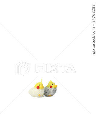 Cute popular pet [cockatiel] 84768288
