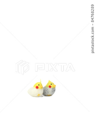 Cute popular pet [cockatiel] 84768289