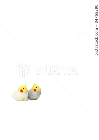 Cute popular pet [cockatiel] 84768290