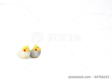 Cute popular pet [cockatiel] 84768291