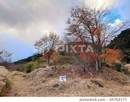 Scenery of Mt. Tsurumi mountain climbing road in late autumn Scenery of Mt. Tsurumi mountain climbing road in late autumn 84768375