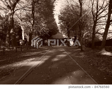 Hiratsuka shrine approach 84768560