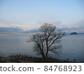 A tree that stands as a dignity 84768923