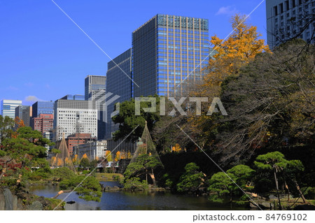 12月千代田842秋日比谷公園（東京） 84769102