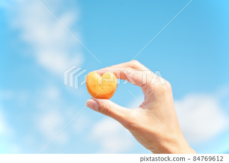 Hand holding castella Hand holding castella 84769612