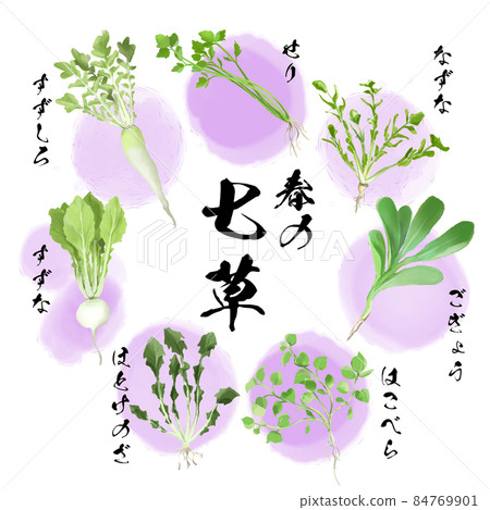 Spring Seven Herbs_Murasaki Spring Seven Herbs_Murasaki 84769901