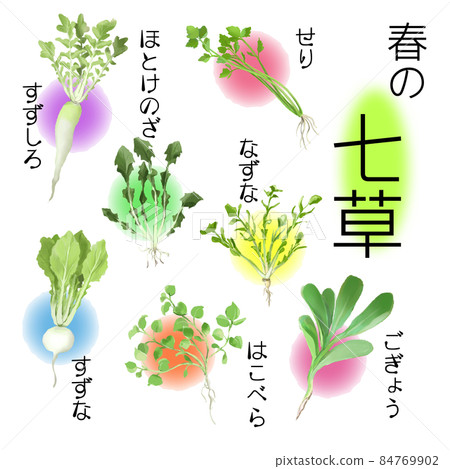 Spring Seven Herbs_Aya Spring Seven Herbs_Aya 84769902