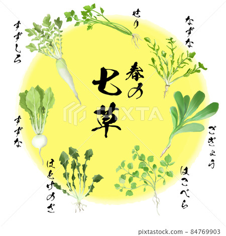Seven herbs of spring_yellow Seven herbs of spring_yellow 84769903