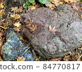 Akaishi and autumn leaves 84770817