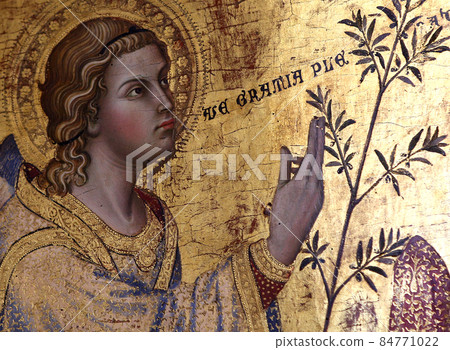Pinacoteca nazionale decors, Siena, tuscany, italy 84771022