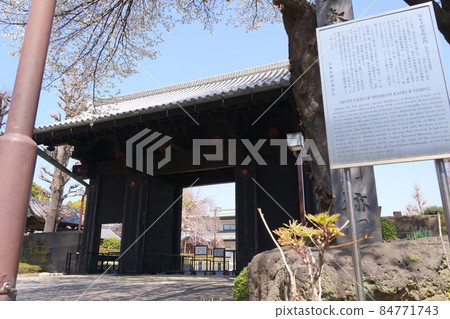 Former Honbo front gate of Kanei-ji Temple and cherry blossoms in full bloom (Ueno Park, Taito-ku, Tokyo) 84771743