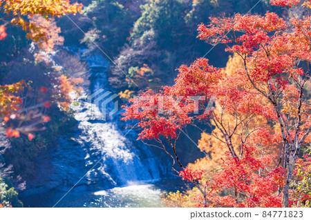 （千葉）房總養老溪谷秋色中的阿波又瀑布 84771823