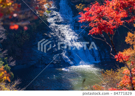(Chiba) Awamata Waterfall in the autumn colors of the Boso Yoro Valley (Chiba) Awamata Waterfall in the autumn colors of the Boso Yoro Valley 84771829