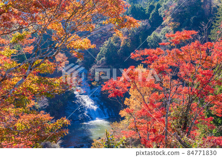 (Chiba) Awamata Waterfall in the autumn colors of the Boso Yoro Valley (Chiba) Awamata Waterfall in the autumn colors of the Boso Yoro Valley 84771830
