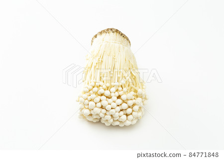 金木白色背景 金木白色背景 84771848