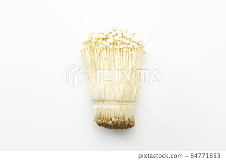Enoki white background 84771853