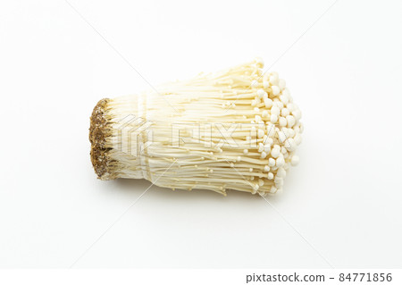 金木白色背景 84771856
