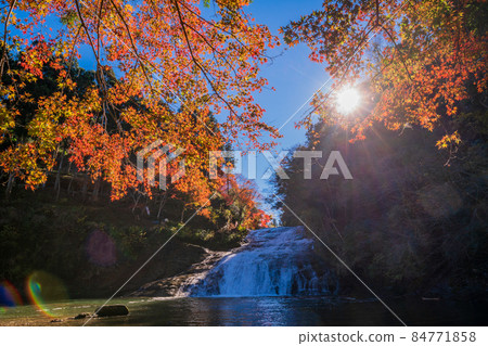 (Chiba) Awamata Waterfall in the autumn colors of the Boso Yoro Valley (Chiba) Awamata Waterfall in the autumn colors of the Boso Yoro Valley 84771858