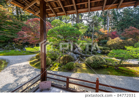 Mansyin monk 84772031