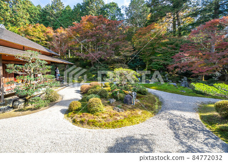 Mansyin monk 84772032