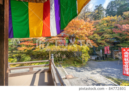 Imakumano Kannon 84772801