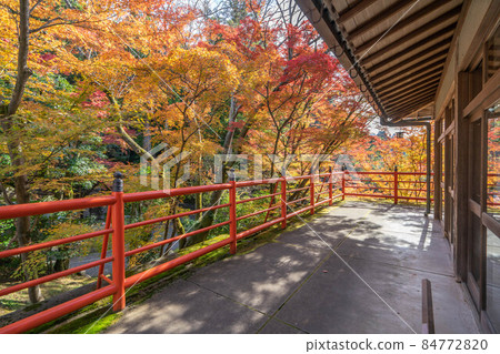 Imakumano Kannon 84772820
