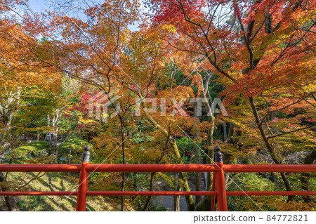 Imakumano Kannon 84772821