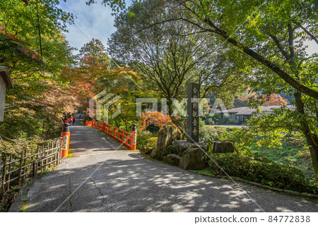 Imakumano Kannon Imakumano Kannon 84772838