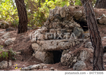 ruins of an antique tomb overgrown with forest 84773006