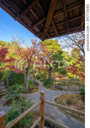 College hospital 84773080