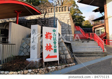 中山觀音公園梅林 84773115