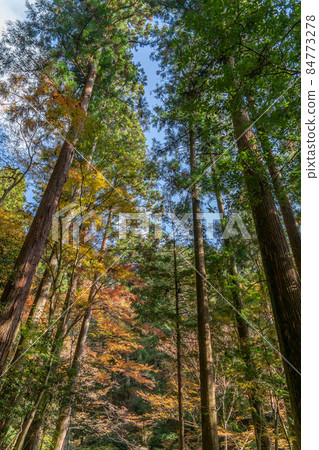 庫拉瑪寺 庫拉瑪寺 84773278