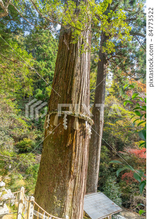 Yuki Shrine Yuki Shrine 84773522