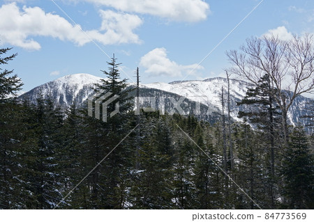 南阿爾卑斯山 Tekari Mt. 通往山頂的登山路 南阿爾卑斯山 Tekari Mt. 通往山頂的登山路 84773569
