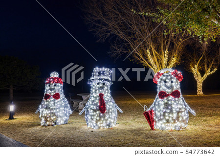 Night view of the beautiful Christmas decoration lights in Mitch Park 84773642