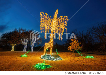 Night view of the beautiful Christmas decoration lights in Mitch Park 84773648