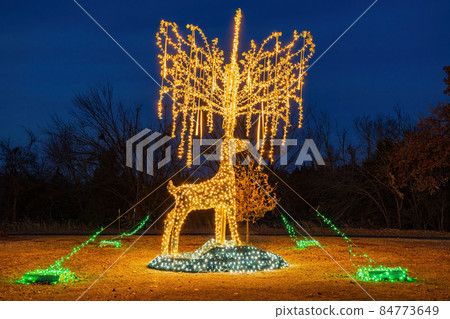 Night view of the beautiful Christmas decoration lights in Mitch Park Night view of the beautiful Christmas decoration lights in Mitch Park 84773649